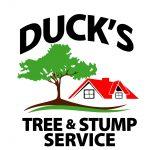 Duck's Tree and Stump Service image 6